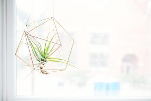 Anna Bredow UI/UX Design
